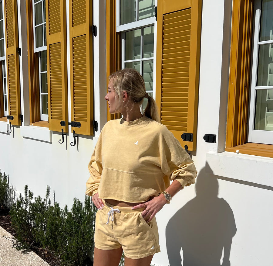 Alys Crop Longsleeve Top or Shorts