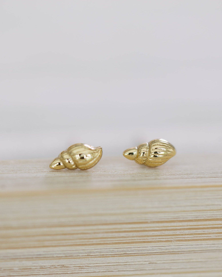 Coast and Cove - Tiny Tulip Shell Studs