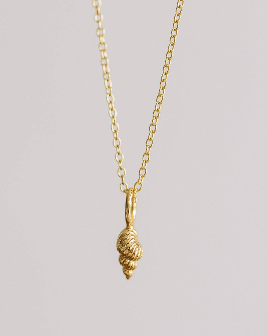 Coast and Cove - Gold Tulip Shell Necklace